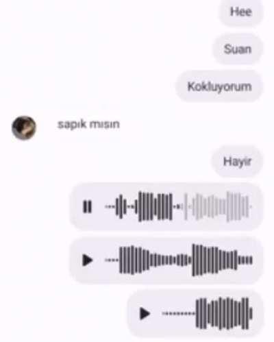 fok balığı sanki orospu evladı