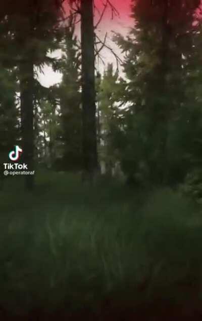 POV: your first woods raid since wipe