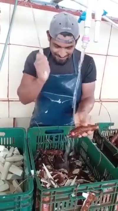 Professional yuca cleaning