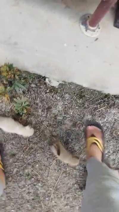 I've been mugged. Please send help