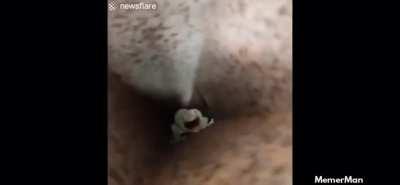 Made me flinch. Sorry if it’s a repost