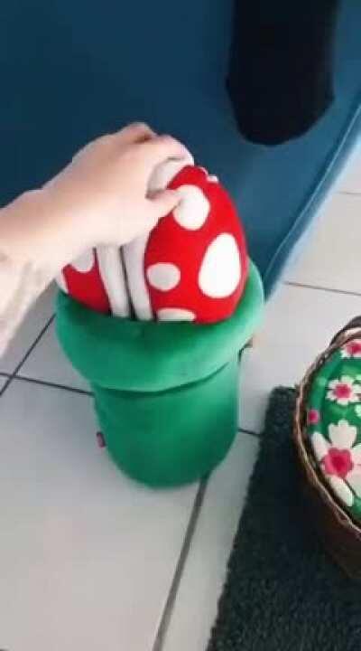 Guess what this is...