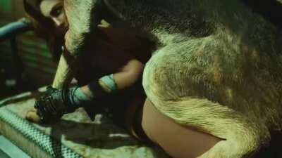 Nora and Dogmeat bonding (Fallout 4|Maxp8147)