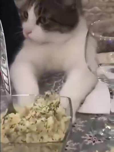 Guys let’s go eat😏