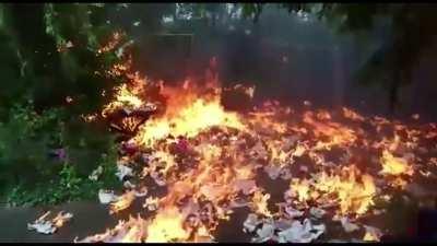 Immer der Till der alles falsch macht