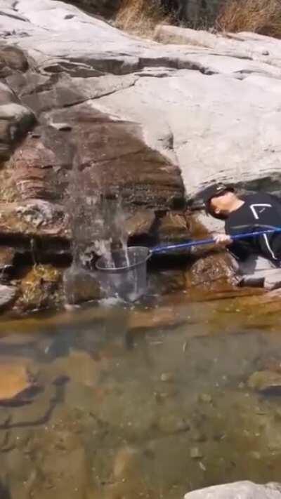 Collecting Premium like...