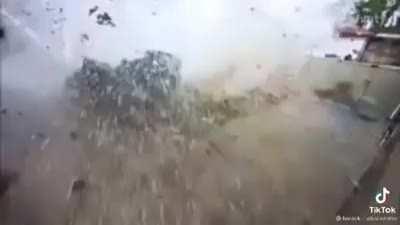 vehicular shenanigans