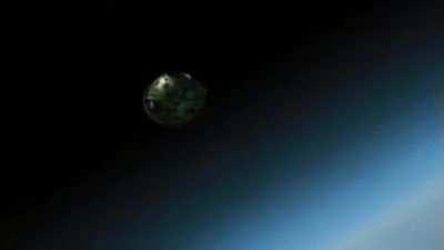 Everyone vs. The Amish