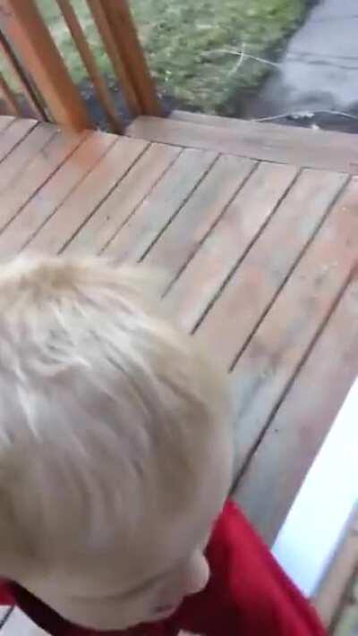 Can i pet your titties