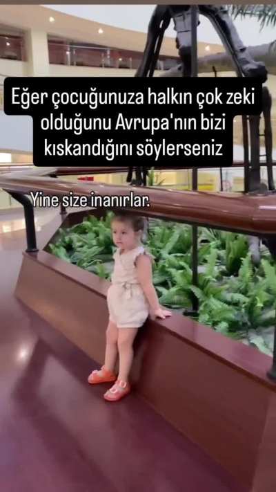 Ağır shitposta giriştim nasıl