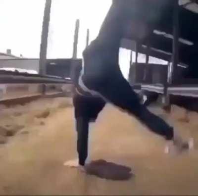 MoaiGreddit - Video #8474