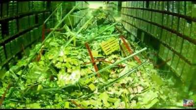 Man tries to save some time, oh wait a minute....