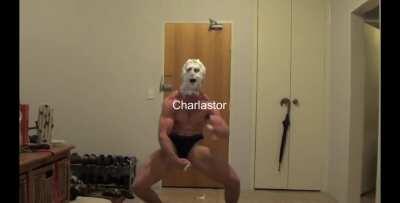 They will never stop