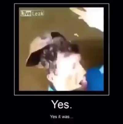 I have no idea how it feels to be smacked by a fish