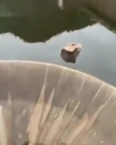 This complete POC threw a big rock down the San Roque Funnel, for a tiktok video. Firemen had to check for cracks, to prevent several cities from flooding
