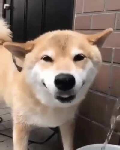 can’t get enough of that water, a true homie