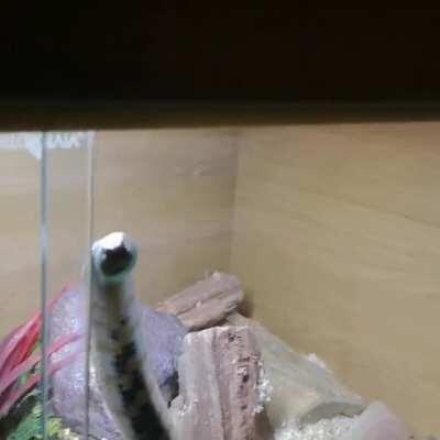 You take the lock out for one second...