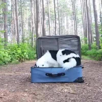 They're not wrong...