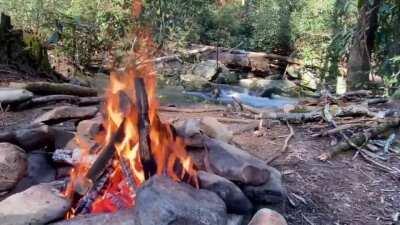 Chattahoochee National Forest last weekend! (Sound on)