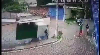 Why you try to get mango with a metal stick near a power line?