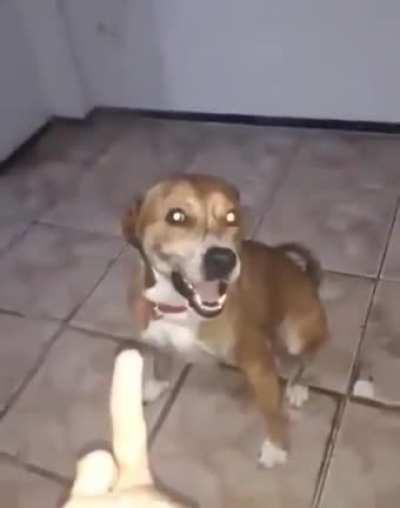 Ridiculo imundo seboso babaca