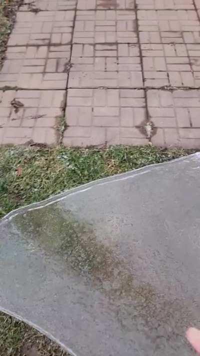 I don't have words to describe how happy I was when I saw the ice