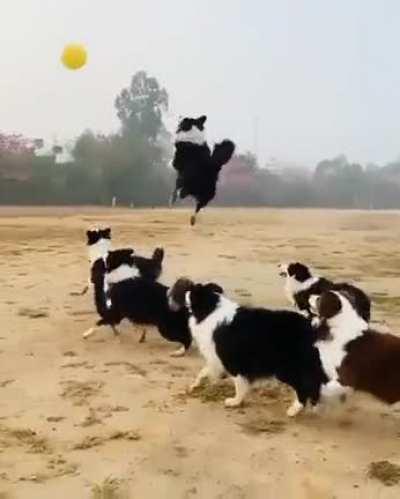 Playing with the balloon