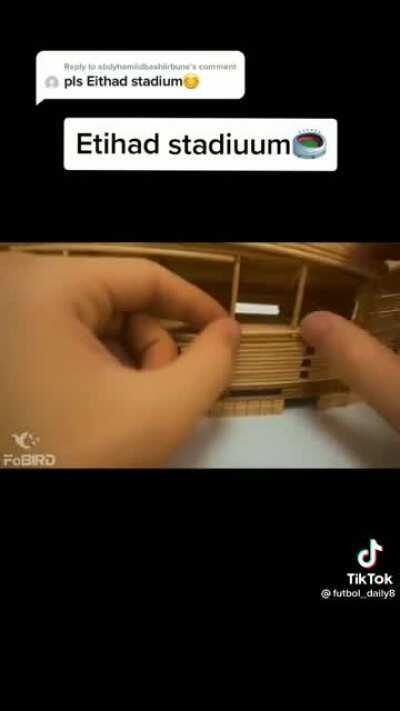 Etihad Stadium made out of wood 🇧🇼😳
