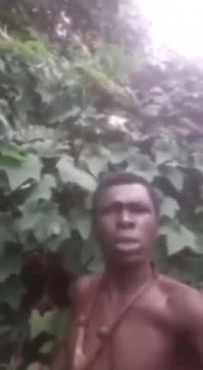 rodentintercourse - Video #8684