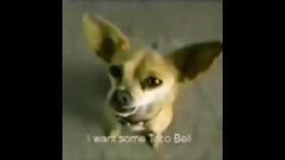 yo quiero ta... 🤨🤨🤨!!!