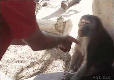 His face says it all!!