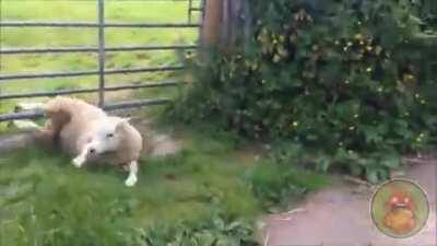 Забудь про это