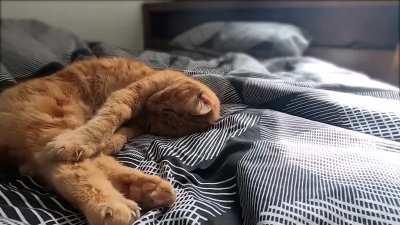 2 hours of sleeping, 1 minute of video