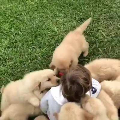 RuThLeSs PaCk Of DoGs EaT fReSh HuMaN sPaWn AlIvE