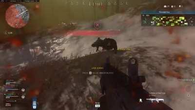 I Can't Believe This Happened