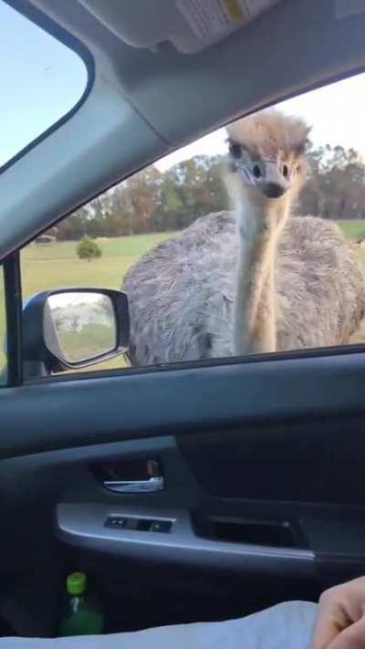 Hey dude I heard that you're giving food