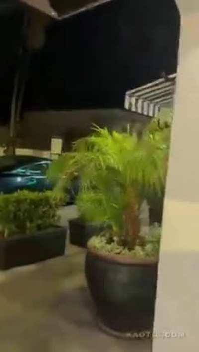 this street fight has it all