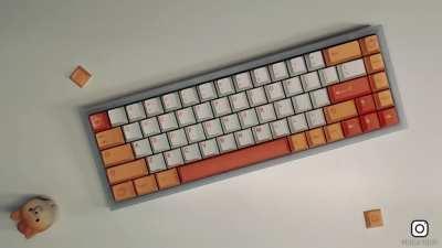 I got my NK65 Frost Entry this week so I made my dog put it together lol sorry for the cheesiness. IG: keebswithsheebs