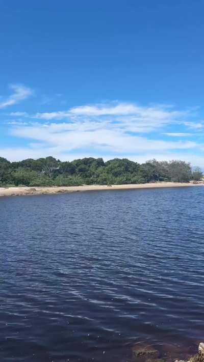 i hope they kept looking my way