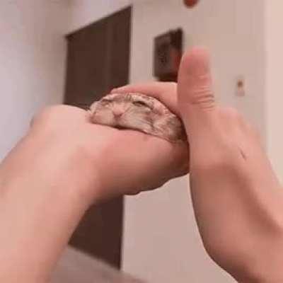 POV: Kohane After A Long Day