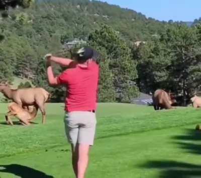 I love PGA this time of year