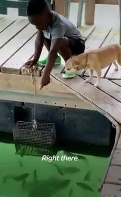 A boy and his best friend. Wish this was a full length movie