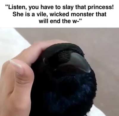 The narrator just needs some headpats