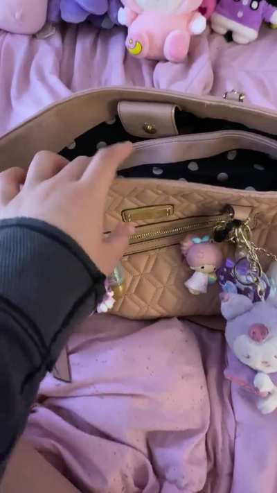 Only the essentials in this purse