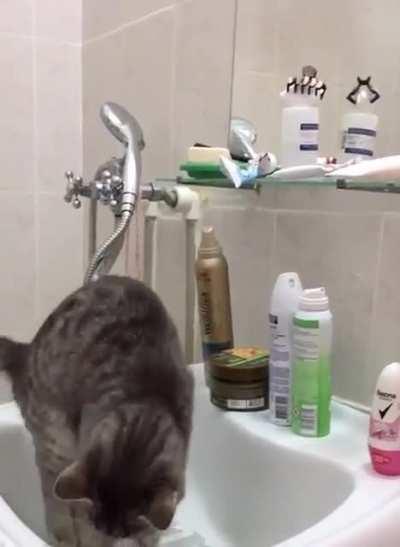 What should I do, she's stealing my hair bands!!!