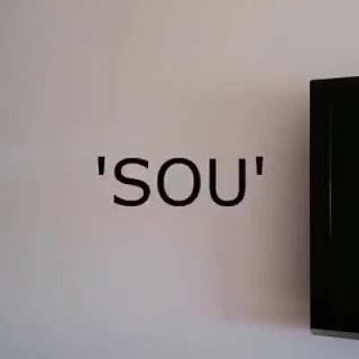 Foxy falando sobre o gemaplys