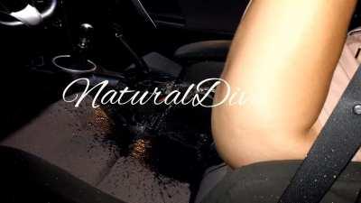 natural dive car seat pias