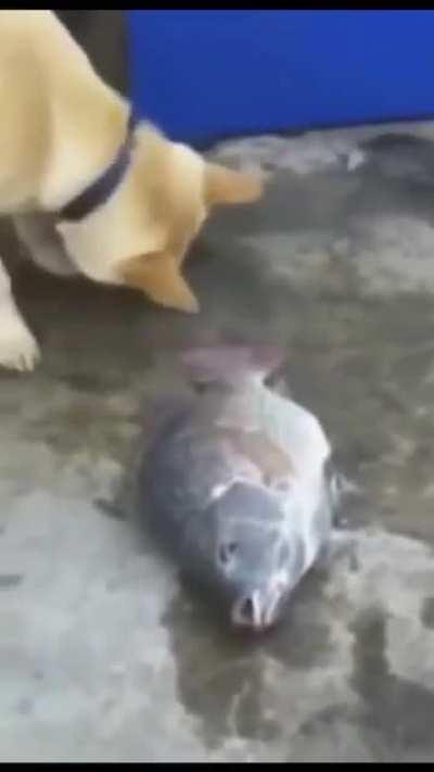 Parece que comenzó a llover 😞