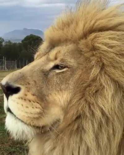 Gettin the side eye from Smokey