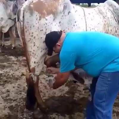 Hmm tradicional cappuccino